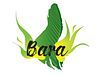 BARA logo